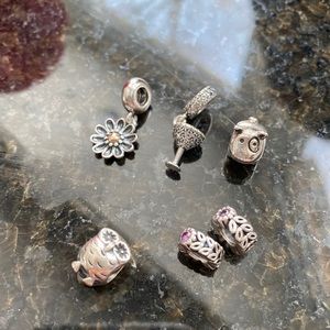 Pandora charms